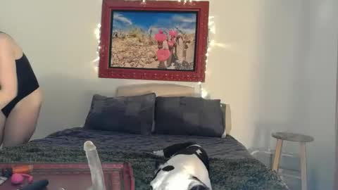    RAMONA Q   online show from 04/14/26, 08:42