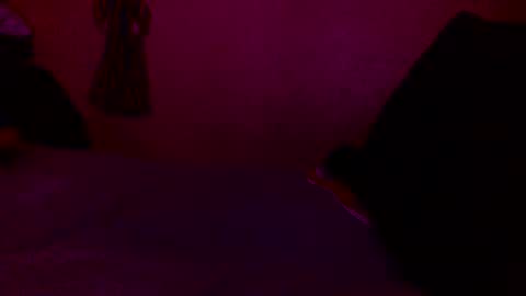 randobad12 online show from 01/18/25, 10:06