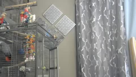 Randy8inbater online show from 12/01/24, 09:26