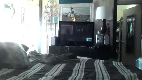 Randy8inbater online show from 12/10/24, 06:17