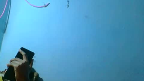 rasoelysca online show from 03/01/26, 04:47