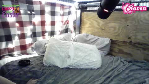 Raven online show from 04/06/26, 04:46