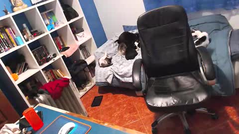 Snapshot of ravingr3d3 chatting on 02/02/26, 11:25 ravingr3d3 online show from 02/02/26, 11:25