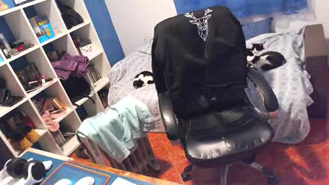 Snapshot of ravingr3d3 chatting on 02/05/26, 12:10 ravingr3d3 online show from 02/05/26, 12:10