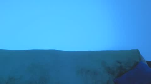 rayan online show from 05/16/26, 01:54