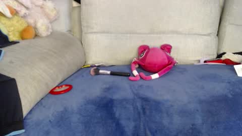 Snapshot of raycatt chatting on 01/08/26, 06:32 Ray online show from 01/08/26, 06:32