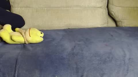 Ray  online show from 03/14/26, 10:53