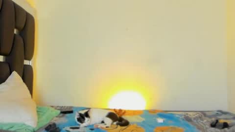 Snapshot of raydevil_ chatting on 11/05/25, 04:40 Rayn online show from 11/05/25, 04:40