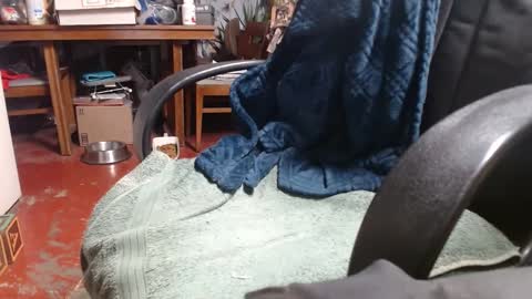 Ray online show from 01/01/25, 01:04