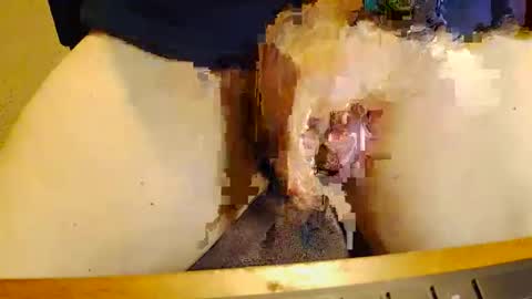 rb69er905364 online show from 11/17/25, 10:04