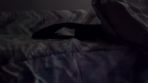 rcalty online show from 11/10/25, 01:37