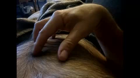 rdt2030 online show from 12/08/24, 07:54