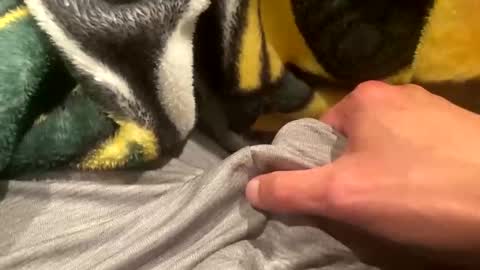 Snapshot of realbigload77 chatting on 09/20/25, 02:23 realbigload77 online show from 09/20/25, 02:23