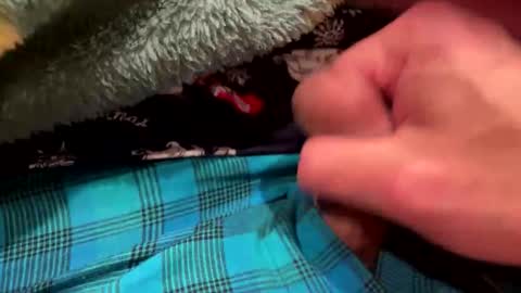 Snapshot of realbigload77 chatting on 12/23/25, 03:26 realbigload77 online show from 12/23/25, 03:26