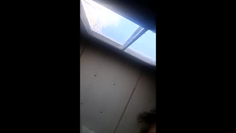 Snapshot of realisararebreed chatting on 12/21/25, 05:42 realisararebreed online show from 12/21/25, 05:42