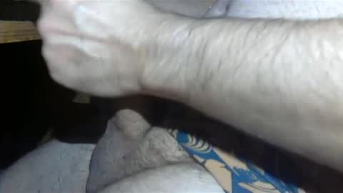 Snapshot of realman034 chatting on 03/04/25, 02:17 realman034 online show from 03/04/25, 02:17