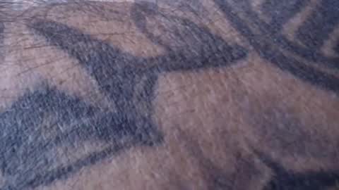 realrubpirate online show from 01/18/25, 09:02