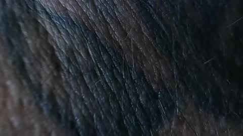 realrubpirate online show from 09/26/25, 08:51