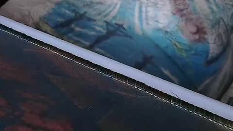 realrubpirate online show from 04/01/26, 08:04