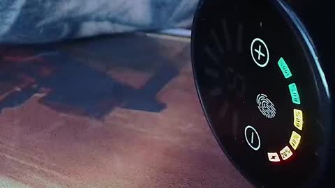 realrubpirate online show from 04/12/26, 06:51