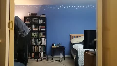 rebelstarlight online show from 04/13/26, 06:52