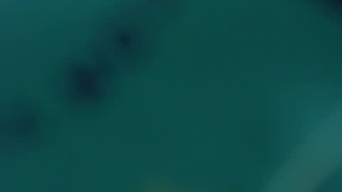 Lupe online show from 02/20/25, 09:55