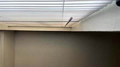 Snapshot of redsoilclay chatting on 09/27/25, 10:48 redsoilclay online show from 09/27/25, 10:48