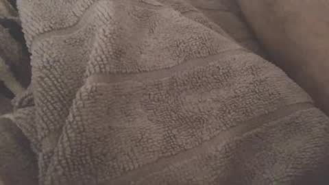 redwhiteblue_24 online show from 07/27/26, 09:33