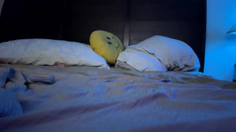 Snapshot of reeferleefer chatting on 01/01/25, 06:26 Lee online show from 01/01/25, 06:26