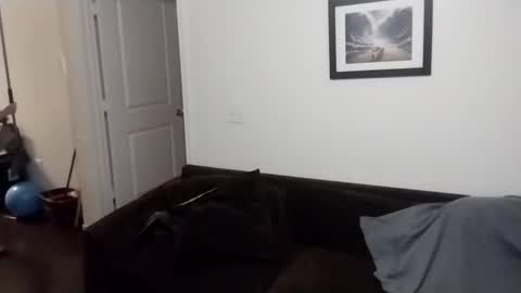 Snapshot of reelfreaky chatting on 09/21/25, 08:38 shy online show from 09/21/25, 08:38