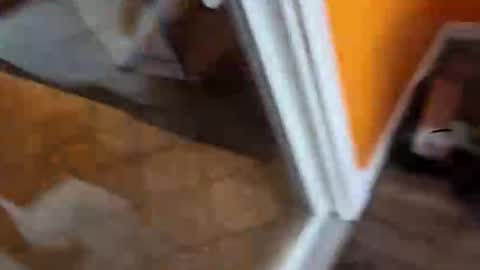 reggie007007 online show from 01/07/26, 02:08