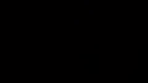 reinarica online show from 04/08/26, 09:42