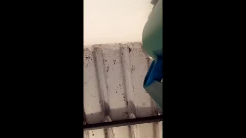 reinft online show from 03/01/26, 10:06