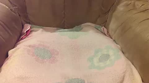 Mark online show from 09/17/25, 05:47