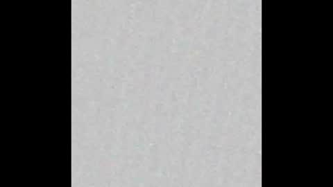 Reynspen online show from 01/11/26, 11:10