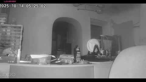 Snapshot of reza240782 chatting on 10/14/25, 04:24 reza240782 online show from 10/14/25, 04:24