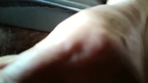 Always crusing cams online show from 04/07/26, 05:57