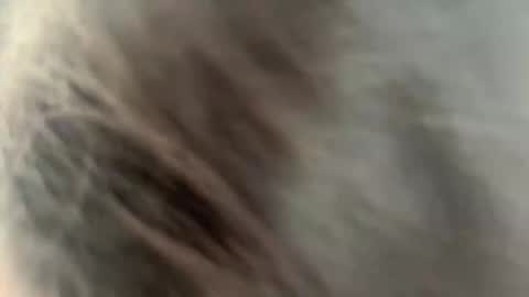 Ammy here its my first stream here online show from 02/27/26, 02:22