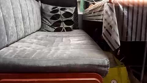 FireLion online show from 04/13/26, 09:37