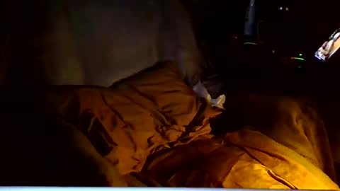 PINK HOLE TWINK online show from 03/06/26, 04:53