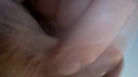 ridik2222333375562 online show from 04/13/26, 02:28