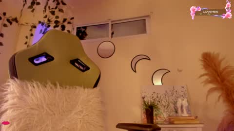 Independent model online show from 12/17/24, 09:07