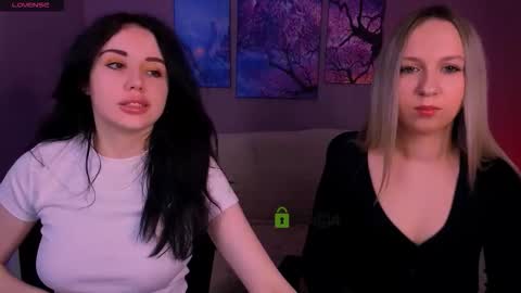 Meow online show from 03/01/26, 08:11