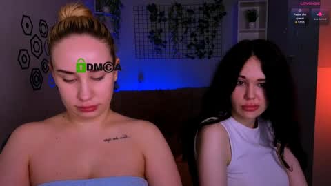 Meow online show from 05/13/26, 07:22