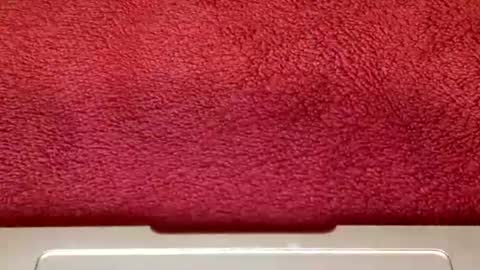 rimalova online show from 10/25/25, 06:32