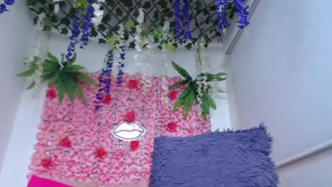 Risitos De Oro online show from 04/29/26, 09:21