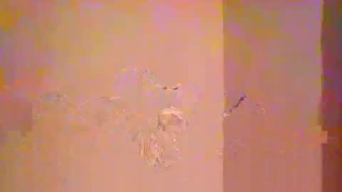 rmorenoout666 online show from 06/11/26, 09:18