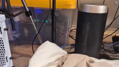 Ryan aka KeylimeRy online show from 03/11/25, 09:02