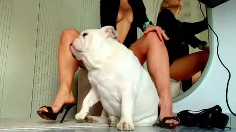 Sasha online show from 04/14/26, 07:14