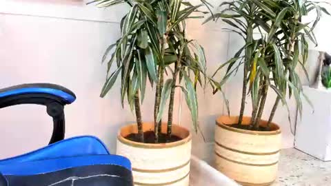 Snapshot of roan_birkin chatting on 07/17/26, 07:19 Roan Birkin online show from 07/17/26, 07:19